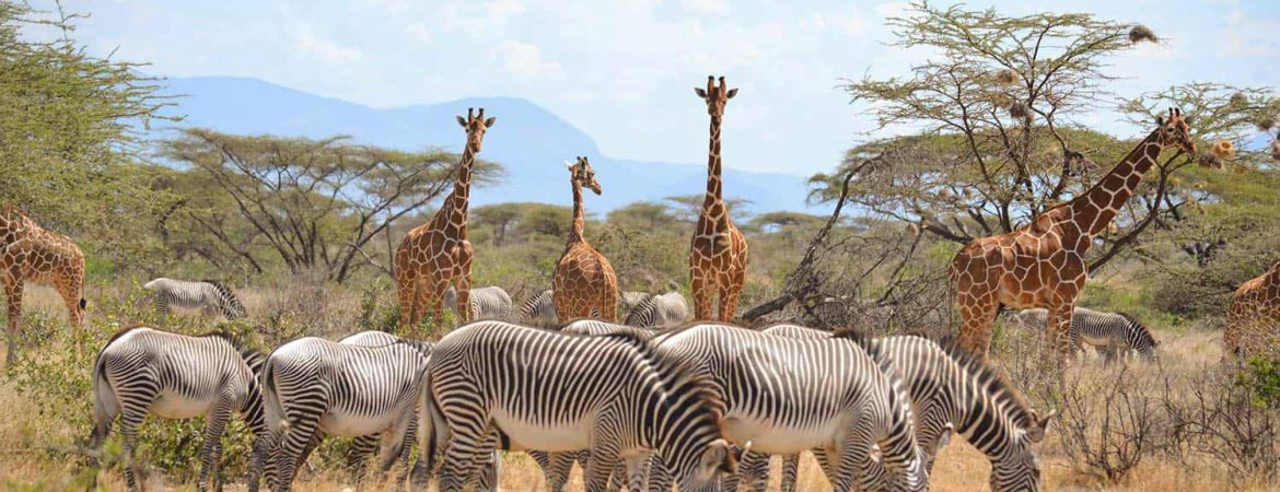 Samburu-National-Park-1170x450-1