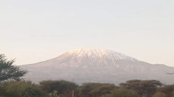 WhatsApp Image 2025-10-24 at 12.20.38 WhatsApp Image 2025-10-24 at 12.20.38